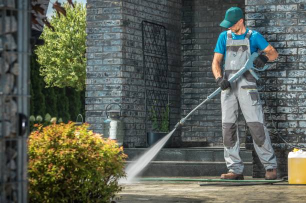 Best Paint Preparation  in Kelly Ridge, CA