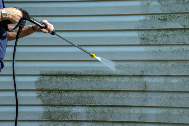 Best Warehouse Cleaning  in Kelly Ridge, CA